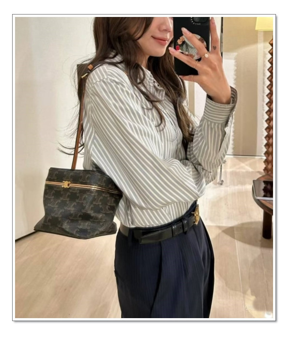 원래 내 몸의 일부였던것 처럼~ 셀린느 프레임백 new,new 호기심 폭발